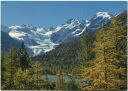 Bernina mit Morteratschgletscher - AK-Grossformat