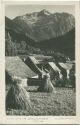 Valle de Aran - Arties y el Montartú - Foto-AK 50er Jahre