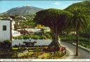 Fotokarte - Tenerife - Icod of the Wines