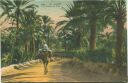 Postkarte - Gabes - La Route de Sfax