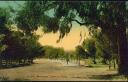 Ansichtskarte - Montevideo - Paseo del Prado