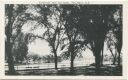 Postkarte - Whitehall N. Y. - Riverside Park and Canal 