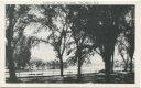 Postkarte - Whitehall N. Y. - Riverside Park and Canal