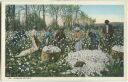 Postcard - Picking Cotton