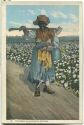 Postcard - African-Americans - I've hoed in fields of cotton