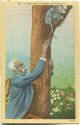 Postcard - a coon trees a possum in Dixieland