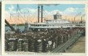 Postcard - New Orleans - unloading cotton