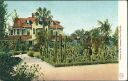 Postcard - Florida - Palm Beach - Cactus on the Craignan Place