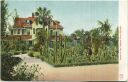 Postcard - Florida - Palm Beach - Cactus on the Craignan Place