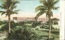 USA - Postcard - West Palm Beach - Hotel Palms