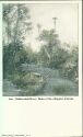 Postcard - Florida - Ochlawahla River - Home of the Alligator