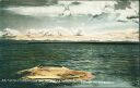 Postcard - Fish Cone in Yellowstone Lake 1903