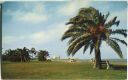 Postcard - Corpus Christi - Cole Park