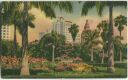 postcard - Miami - Hotels from Bayfront Park