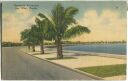 Postcard - Key West - Roosevelt Boulevard