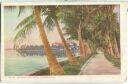 Postcard - Palm Beach - The Walk by Lake Worth