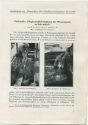 Sonderdruck aus Nachrichten über Schädlingsbekämpfung Nr. 1 1939